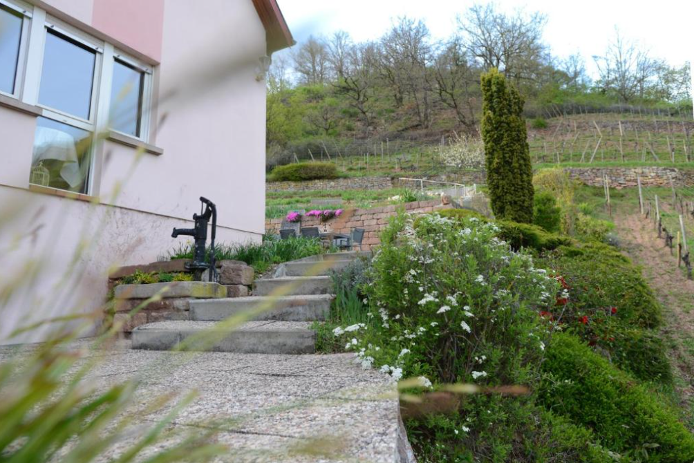 Maison-Niedermorschwihr-REF7412584